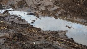 In der ausgehobenen Mulde ist eine größere Pfütze aus Grundwasser entstanden