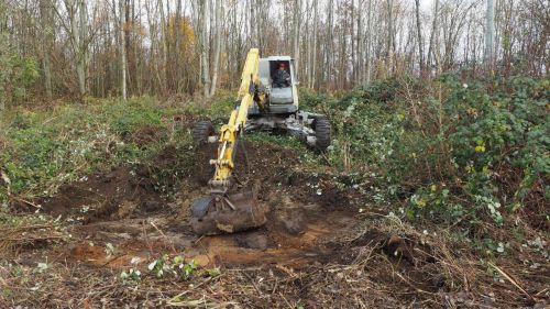 Ein großer Bagger steht im Wald an einem kleinen Hang und gräbt eine Mulde